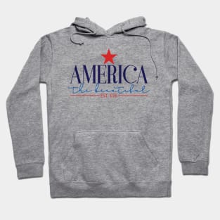 America the beautiful Hoodie